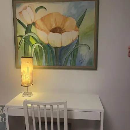 Cozy House Close To Duesseldorf And Cologne,wifi Apartman Wuppertal